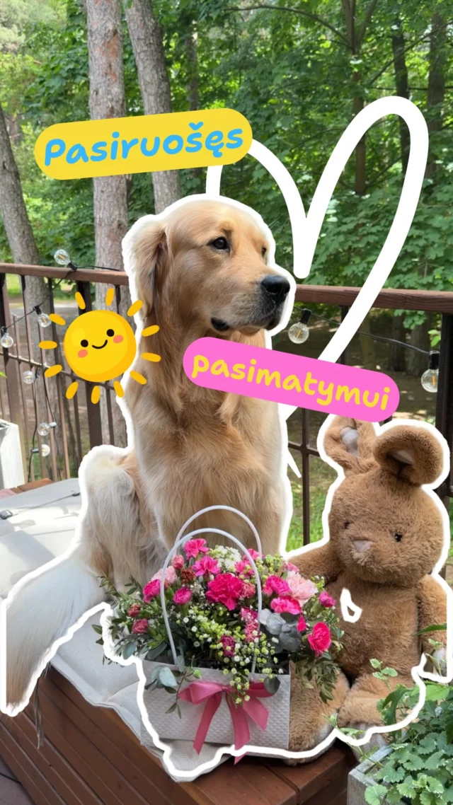 Groomy Instagram