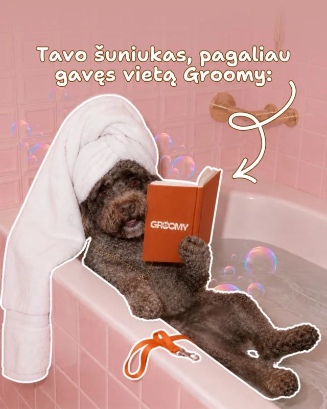 Groomy Instagram